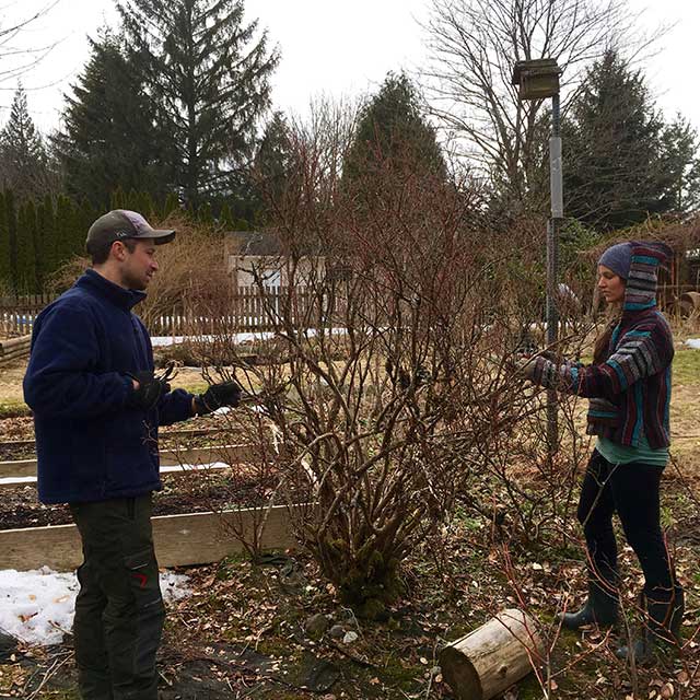 Landscaping services education one-on-one classes ecological sustainability
